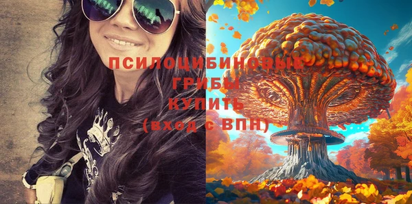 гашиш Новозыбков