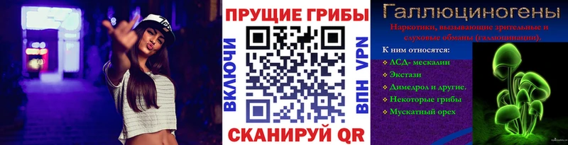 Купить  Черепаново  Галлюциногенные грибы Psilocybe 